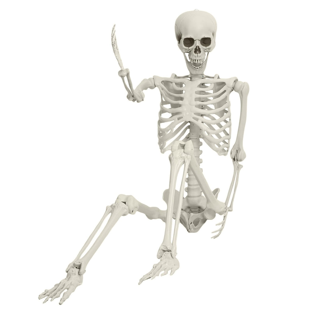 Halloween Skeleton Decoration 65inch Plastic Life Size Q7924