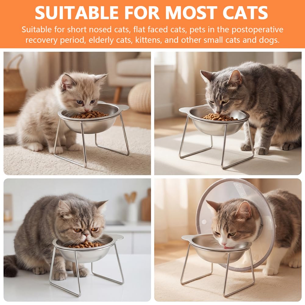 2 Pack Stainless Steel Elevated Cat Bowls L277