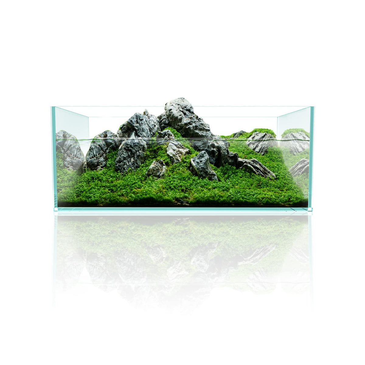 6.4Gal Shallow Rimless Aquarium Ultra-White Glass Q1967