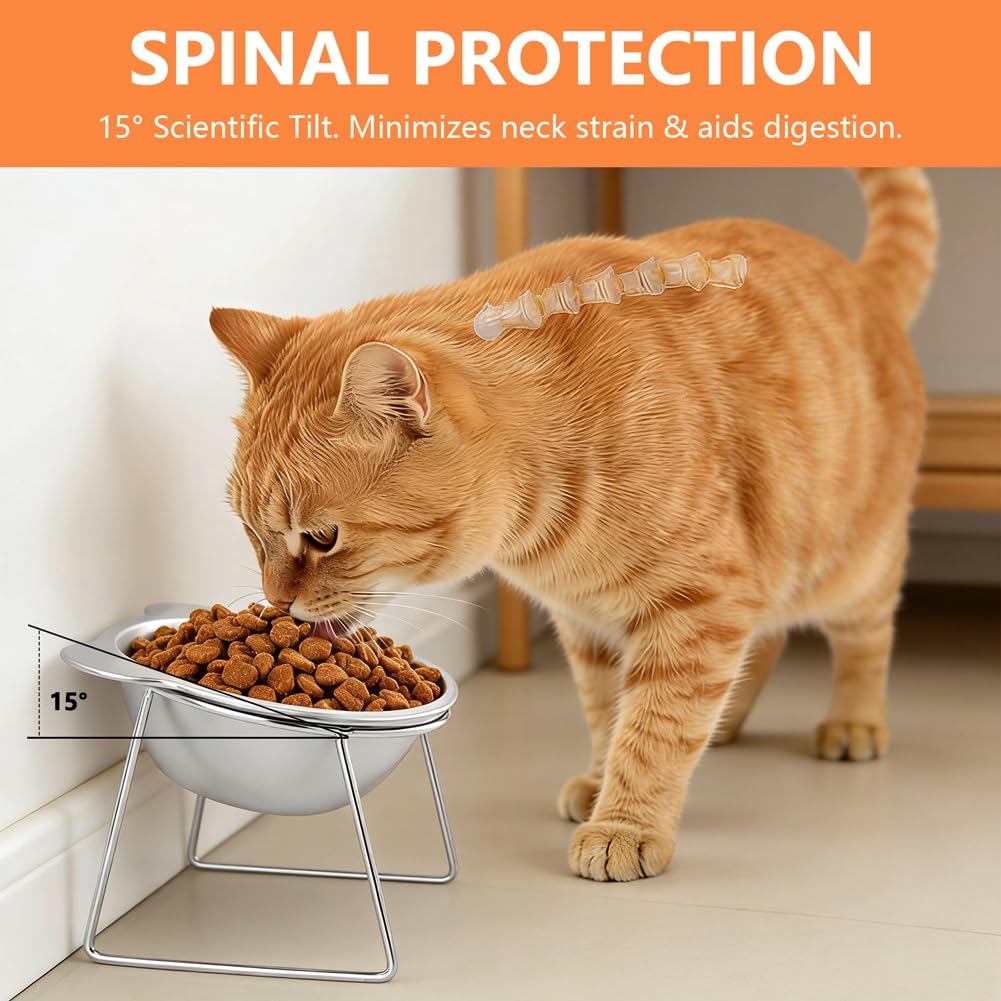 2 Pack Stainless Steel Elevated Cat Bowls L277