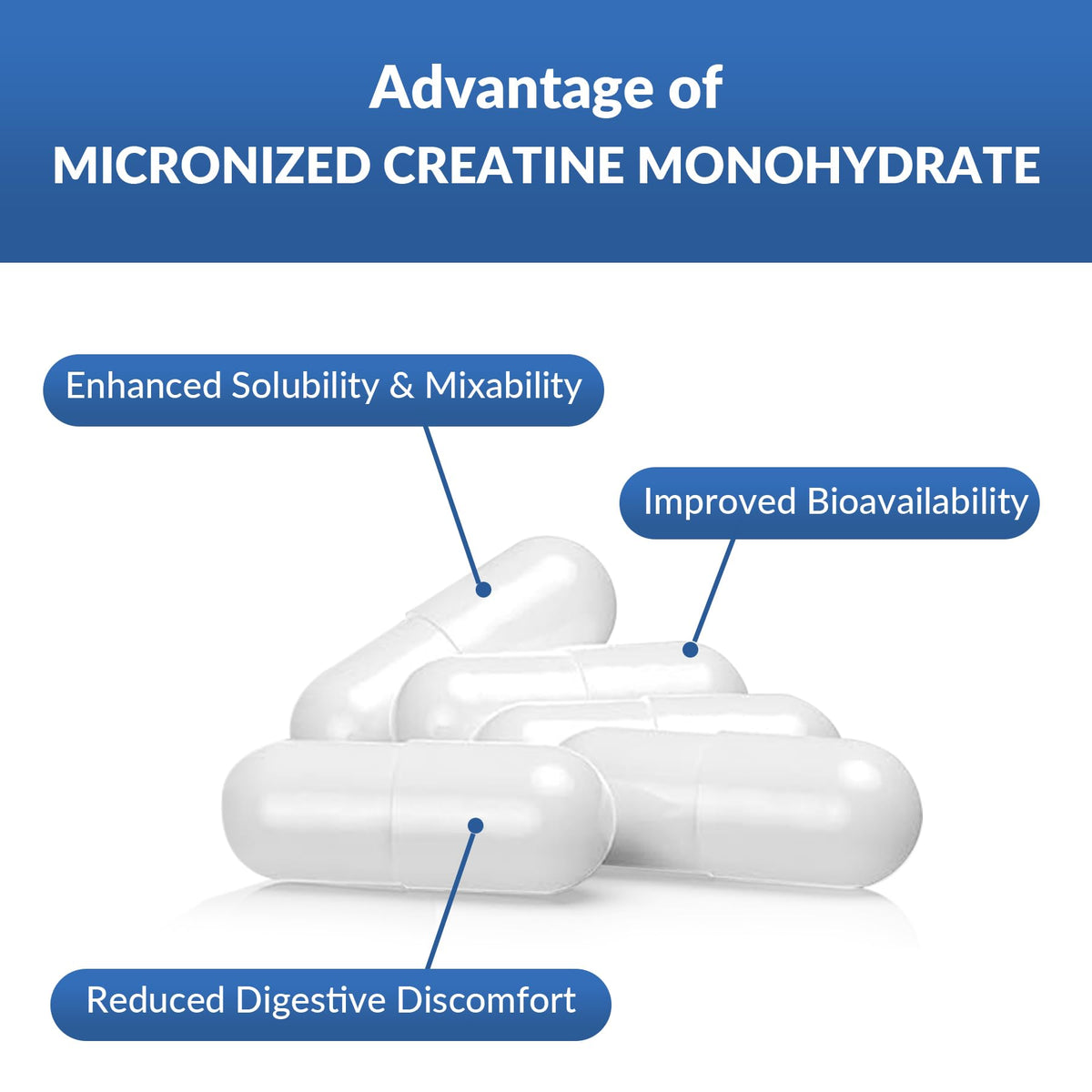 5000mg Micronized Creatine Monohydrate Capsules with Vitamin B12, Vegan, Gluten Free, 150 Count P337