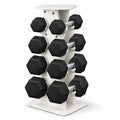 100 lb Rubber Hex Dumbbell Set with Rack L325249