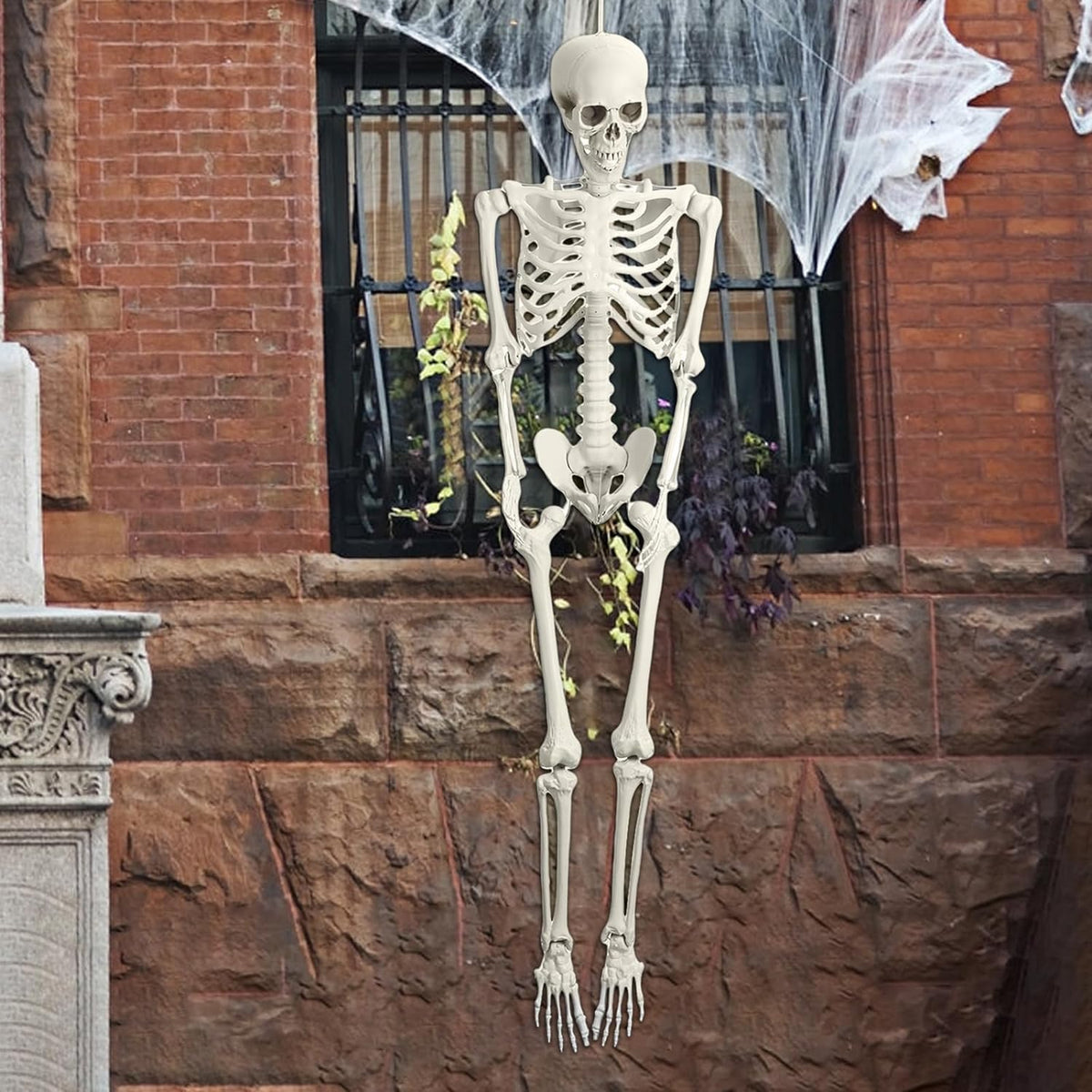 Halloween Skeleton Decoration 65inch Plastic Life Size Q7924