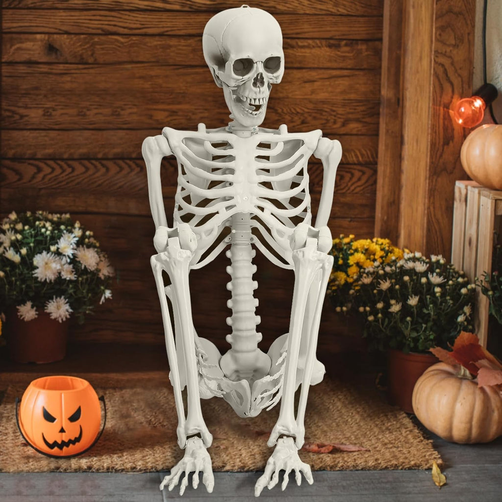 Halloween Skeleton Decoration 65inch Plastic Life Size Q7924