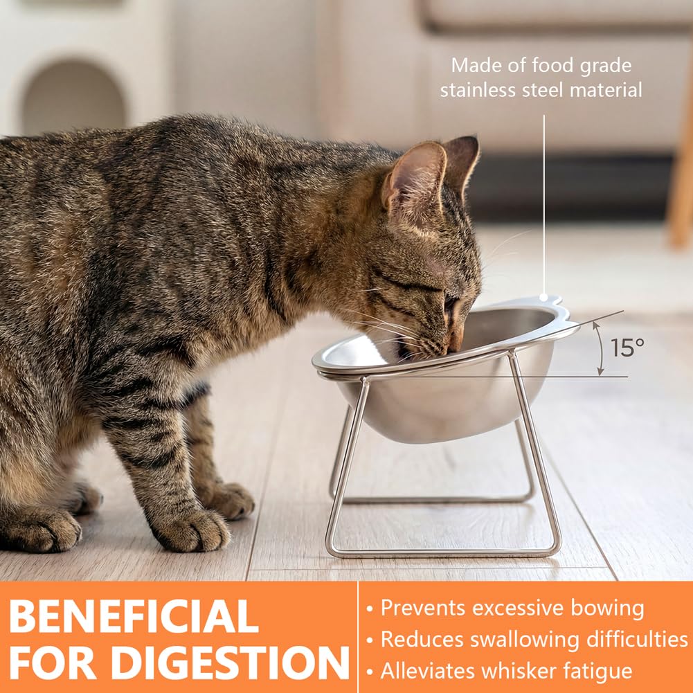 2 Pack Stainless Steel Elevated Cat Bowls L277