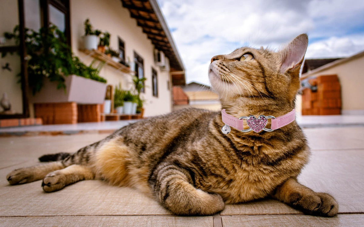 Pink Cat Collar with Safety Belt and Bell C828