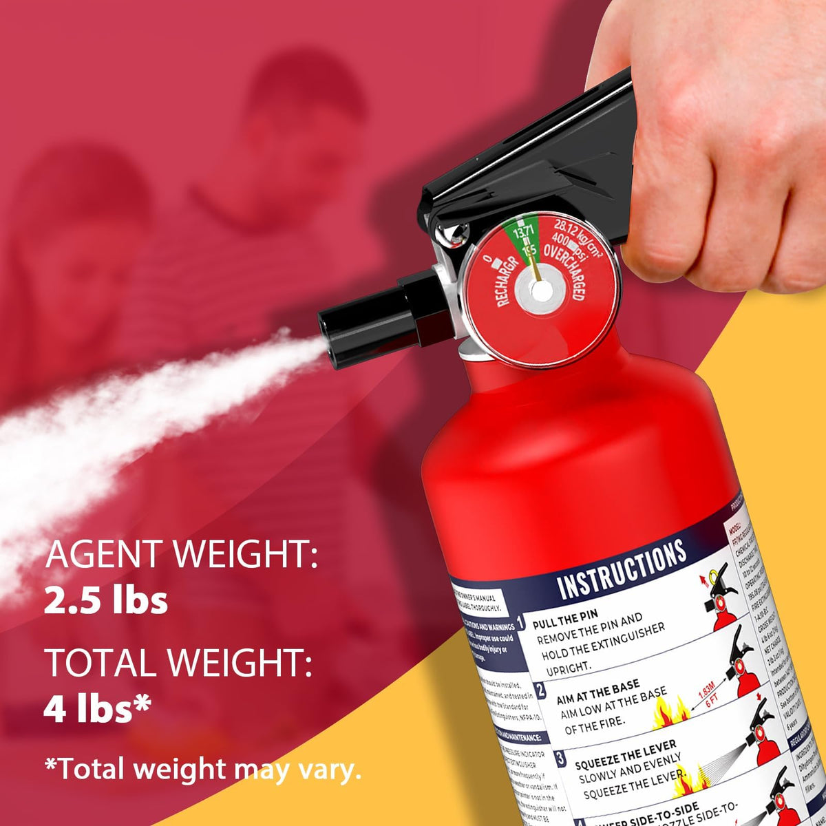 2.5 lb Dry Chemical Fire Extinguisher G8838