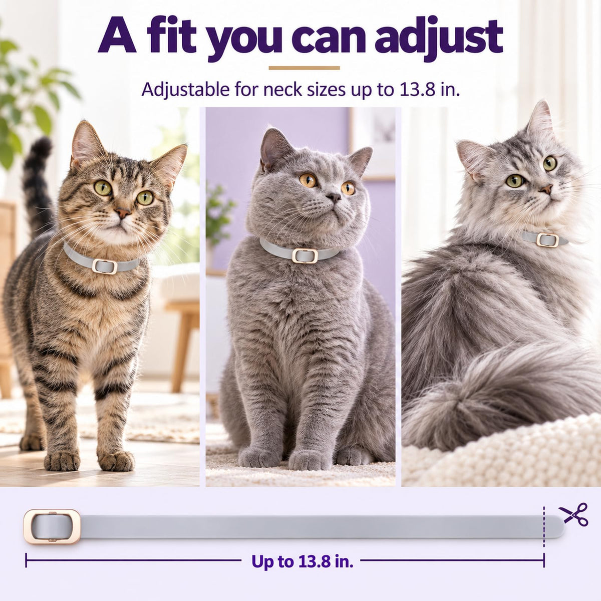 Flea and Tick Collar for Cats 4 Pack Gray S4084
