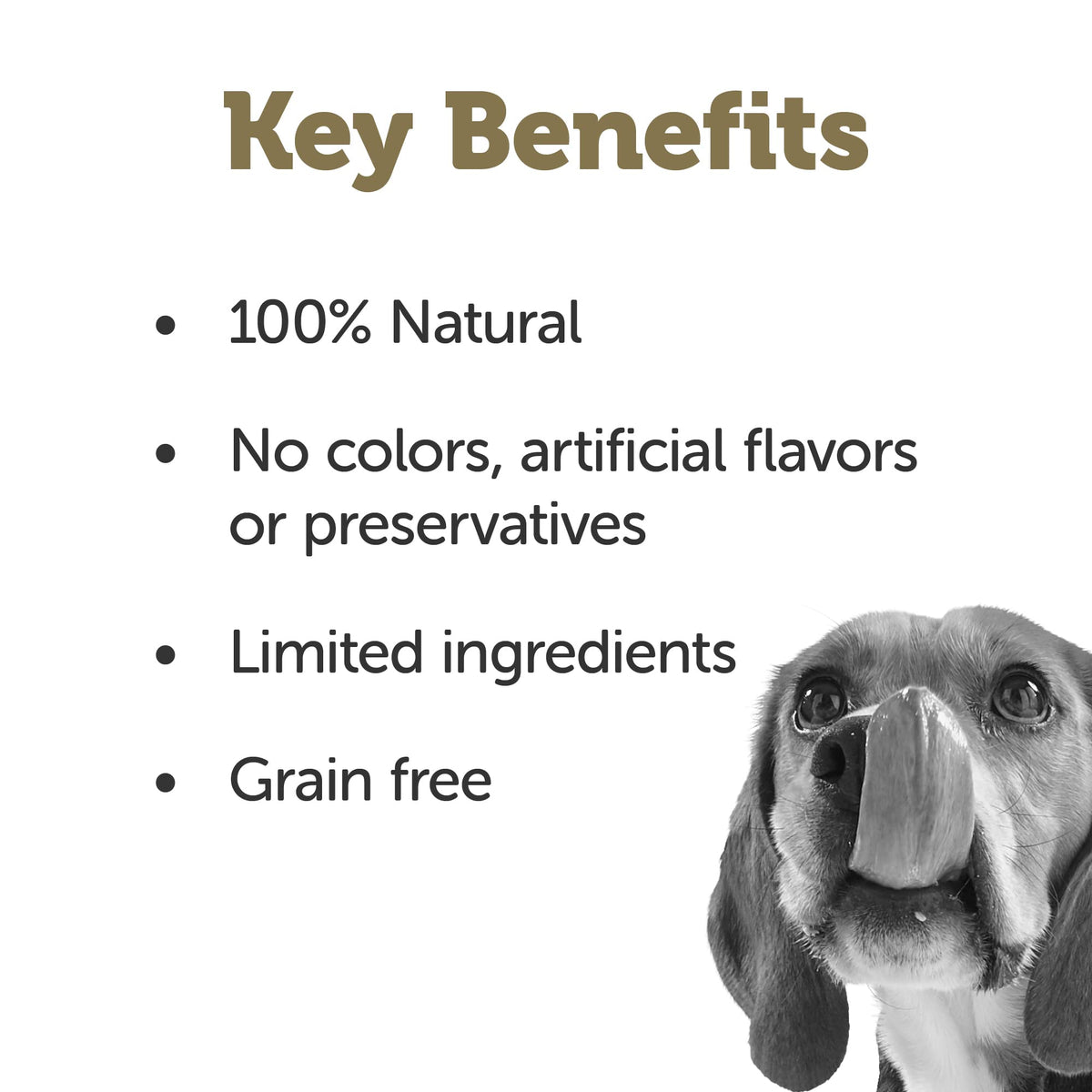 Chicken Bone Broth Dog Food Topper 6-Pack 7.1oz Pouch R510