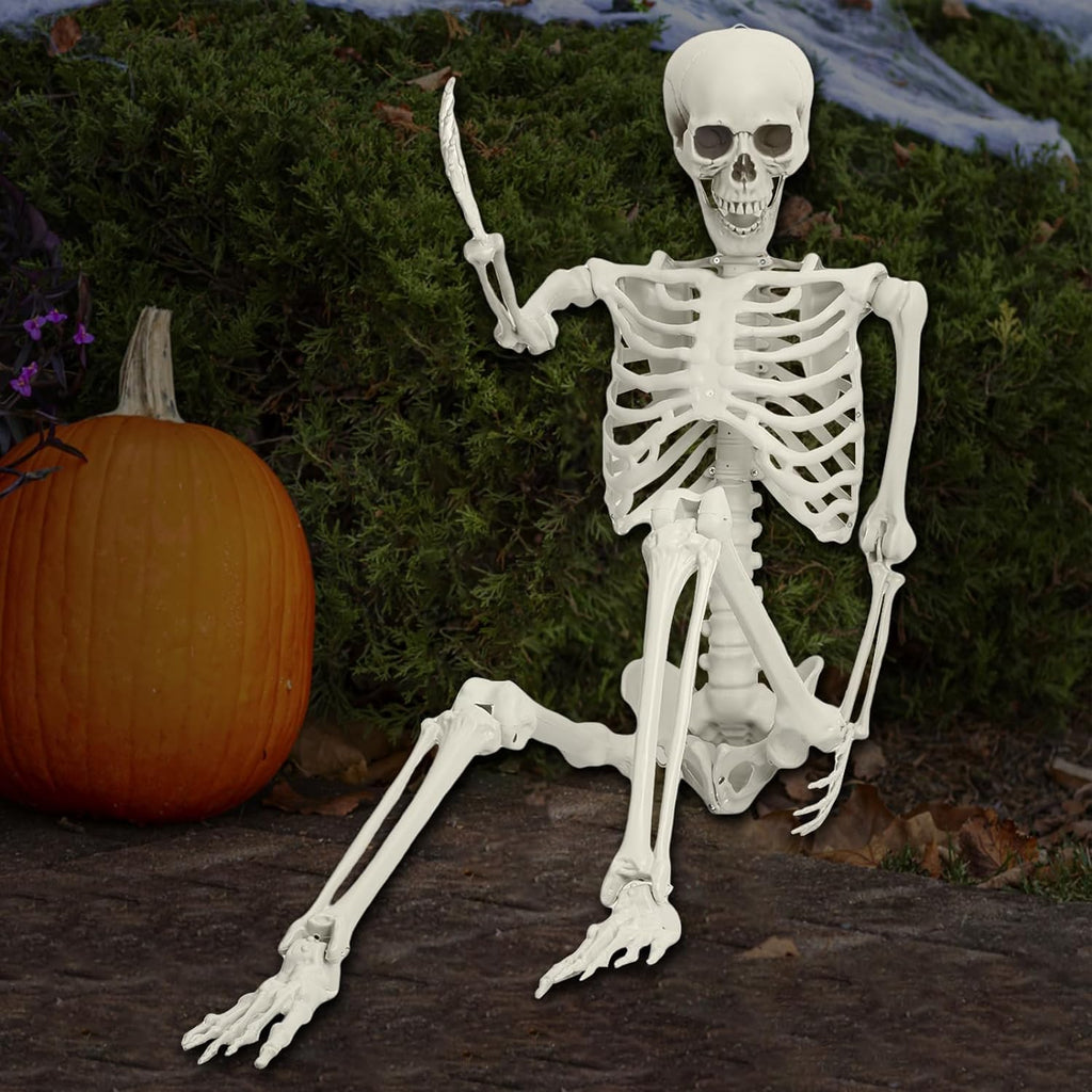 Halloween Skeleton Decoration 65inch Plastic Life Size Q7924