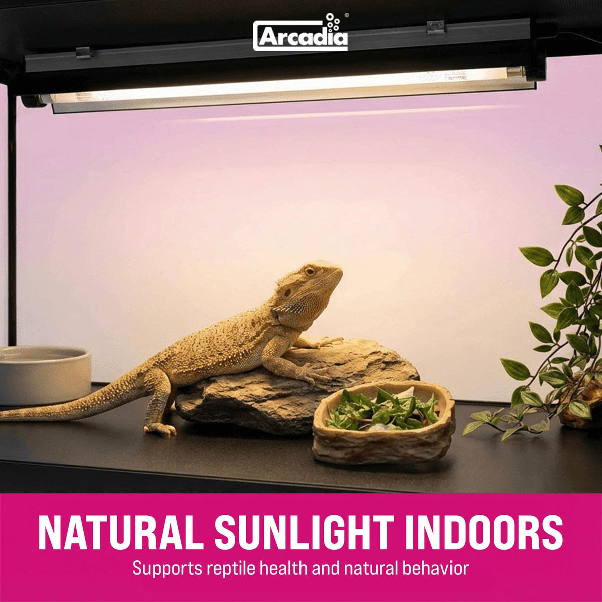 39W UVB Lighting Kit P537719