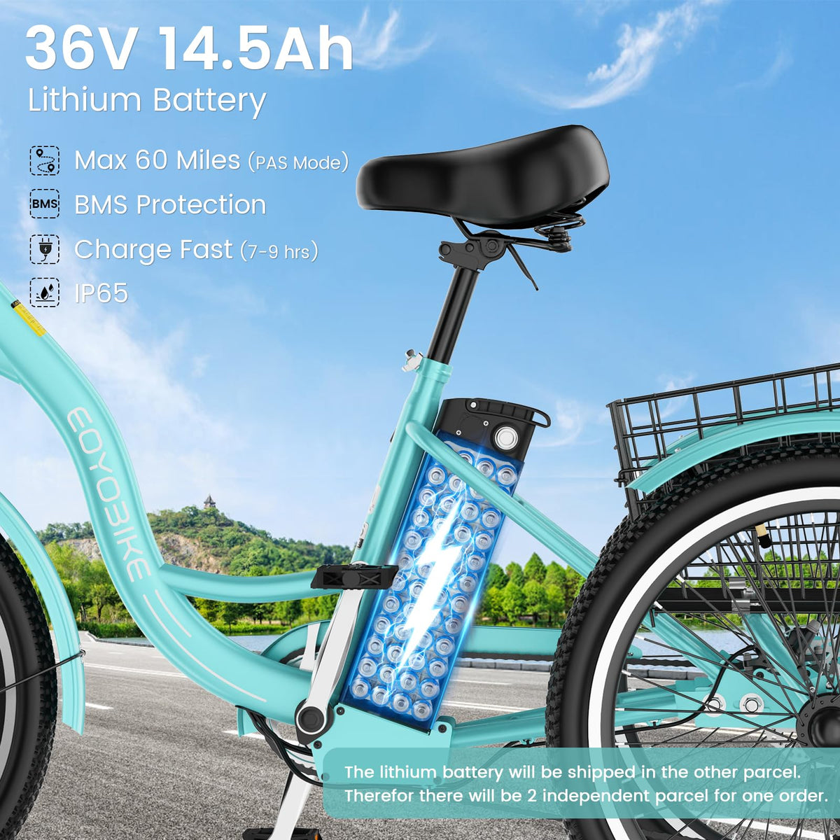 24/26 Inch 350W Electric Tricycle with Removable 36V Battery and Rear Basket T630