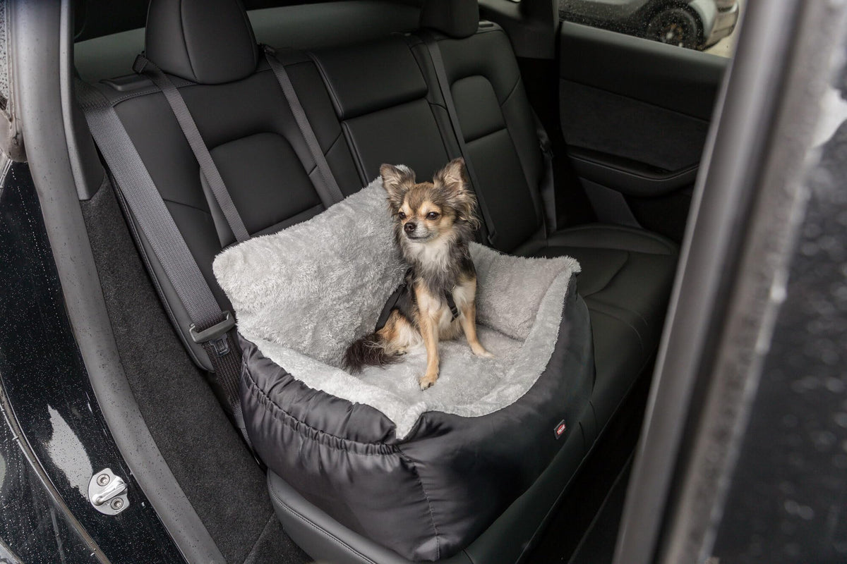 Convertible Dog Car Seat E682968