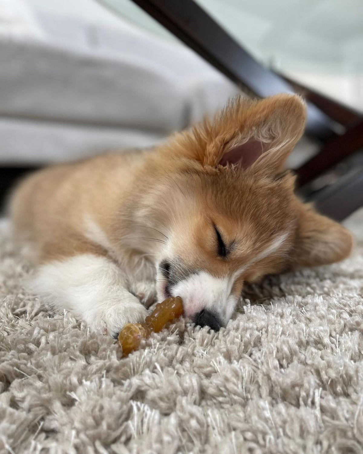 Chicken Flavor X-Small Dog Chew Toy D608588