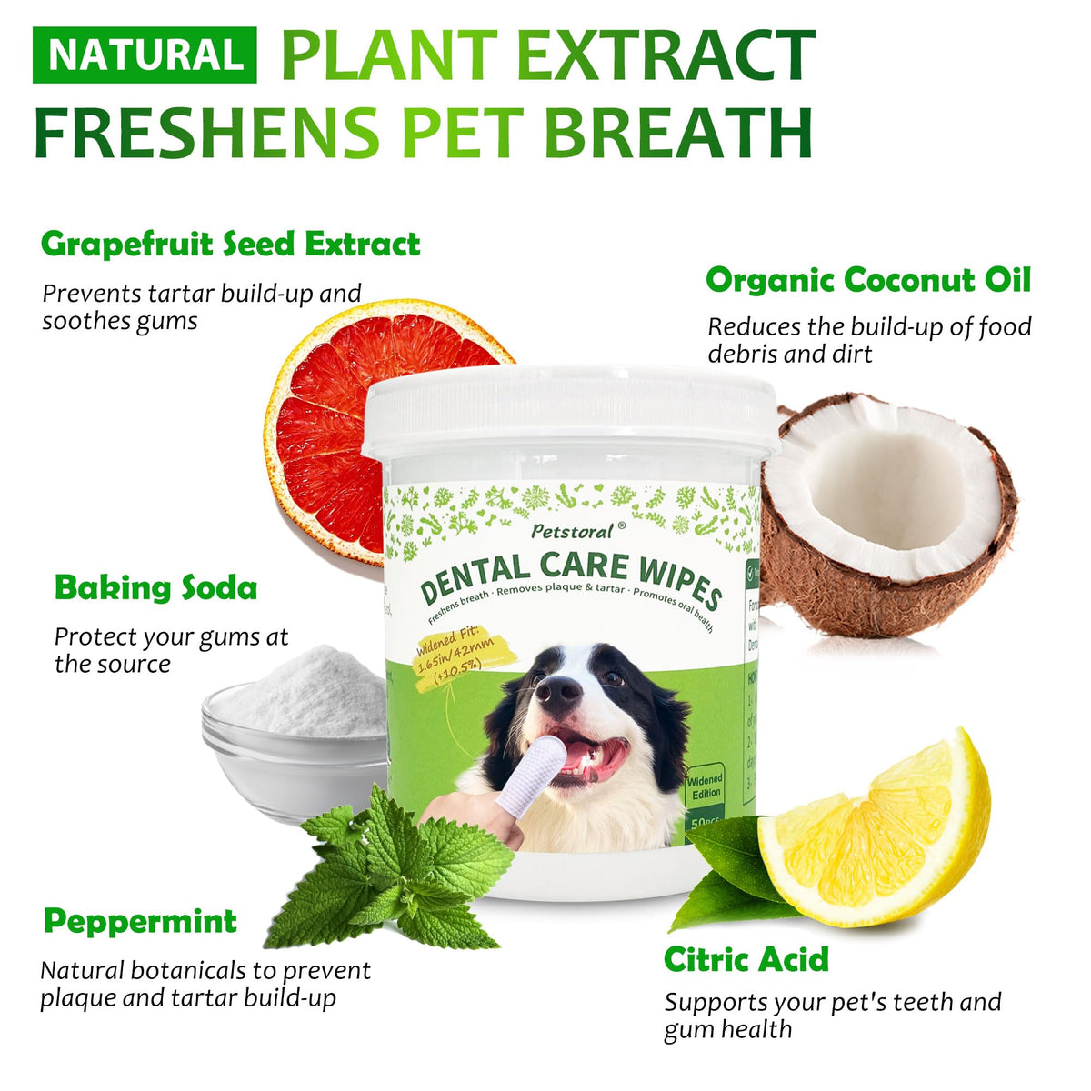 Dental Care Wipes for Dogs and Cats, 50 Count Z395