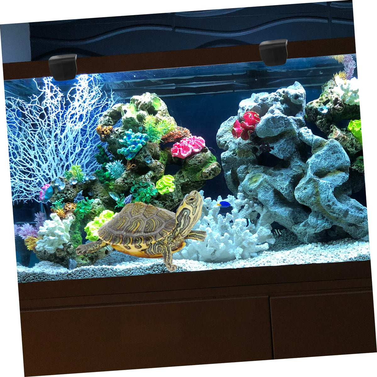 Gecko Tank Terrarium Screen Clips E6210