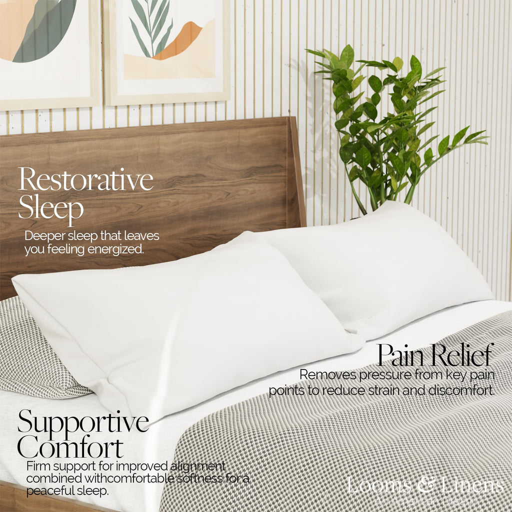 King Size Pillows Set of 2 20 x 36 Hypoallergenic Down Alternative Pillow Inserts A651109