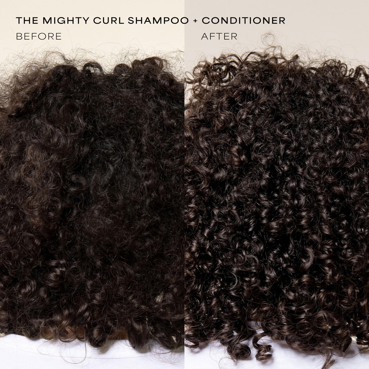 Shampoo and Conditioner Set 16 Fl Oz L660165